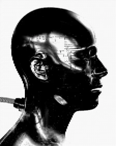Grade the source: a portrait photo on its way to ASCII art